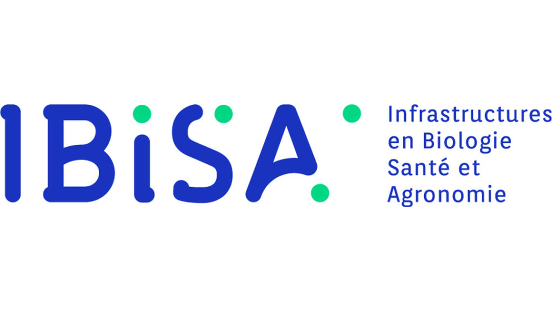 IBISA