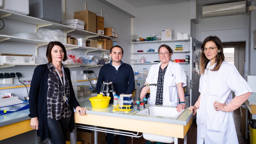 EndoTreat: research project conducted in partnership with the Toulouse University Hospital (E. Chantalat), INSERM-I2MC (F. Lenfant) and the start-up company Urosphère
