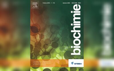 Publication d’un article de l’équipe MetaDiab (C. Moro) dans Biochimie