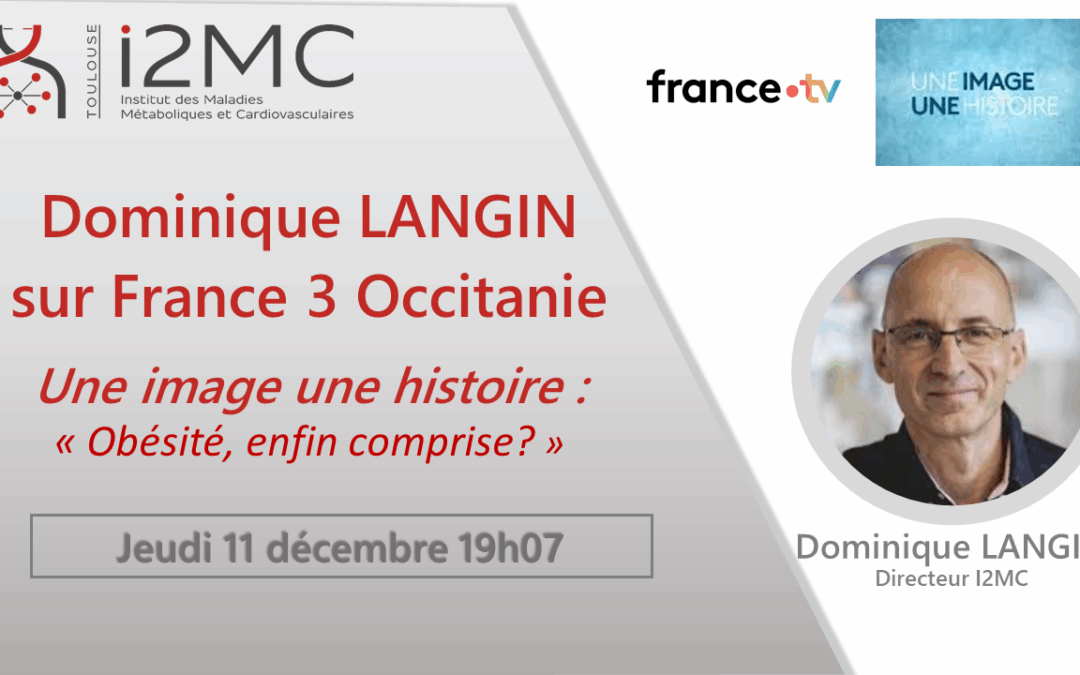 Dominique Langin sur France 3 Occitanie