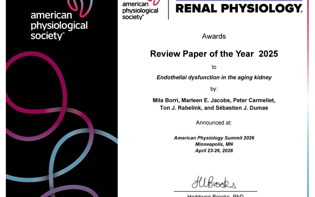 “Endothelial dysfunction in the aging kidney” selected as Best Review Paper of the year 2025