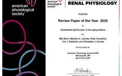 « Endothelial dysfunction in the aging kidney » désigné « Best Review Paper of the year 2025 »